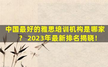 中国最好的雅思培训机构是哪家？ 2023年最新排名揭晓！